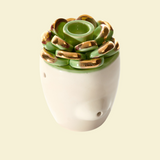 Smooth Plant Pipe