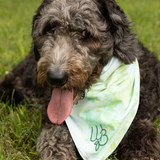 Tie Dye WB Bandana