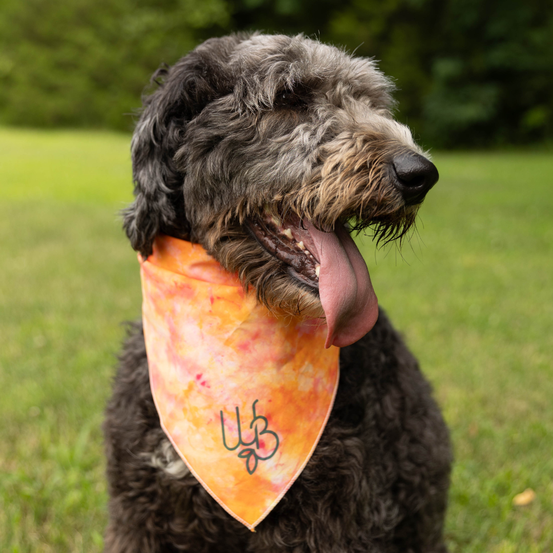 Tie Dye WB Bandana