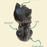 Shadow Meowbler Cat J Bubbler