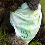 Tie Dye WB Bandana