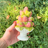 Berry Bubbler in Rose