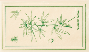 Botanical Field Trip Rolling Papers