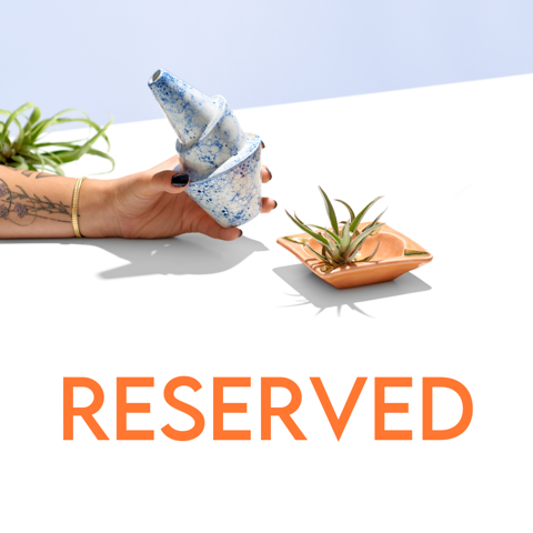Reserved for Abigail - Wandering Bud