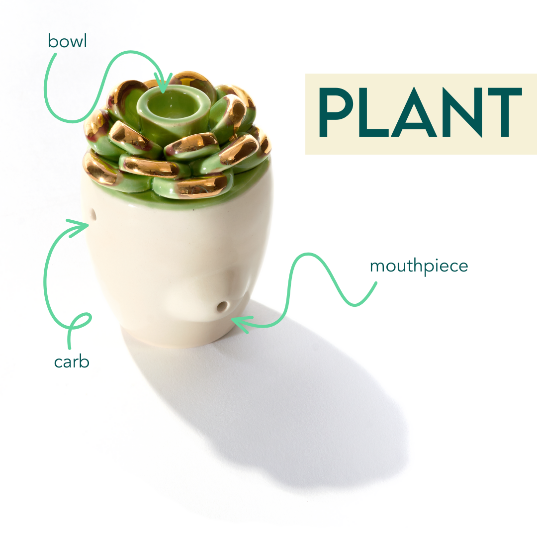 A ceramic pipe that smokes like a dream, this hand pipe is handmade my a woman owned studio in the USA. Plant Pipe is a ceramic succulent-shaped pipe with green petals with 22k gold, that doubles as art in your home and pairs well with your favorite smoke accessories. Smoke your favorite bud from this ceramic pipe.