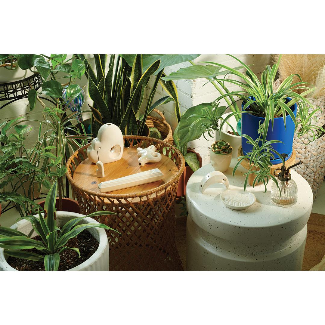 A ceramic pipe that smokes like a dream, this hand pipe is handmade my a woman owned studio in the USA. Plant Pipe is a ceramic succulent-shaped pipe with green petals with 22k gold, that doubles as art in your home and pairs well with your favorite smoke accessories. Smoke your favorite bud from this ceramic pipe.