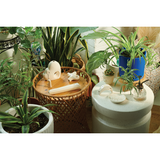 A ceramic pipe that smokes like a dream, this hand pipe is handmade my a woman owned studio in the USA. Plant Pipe is a ceramic succulent-shaped pipe with green petals with 22k gold, that doubles as art in your home and pairs well with your favorite smoke accessories. Smoke your favorite bud from this ceramic pipe.